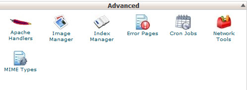 cPanel advanced settings section