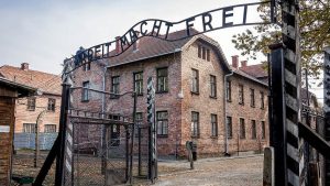 Auschwitz 2020 The Democratic Party
