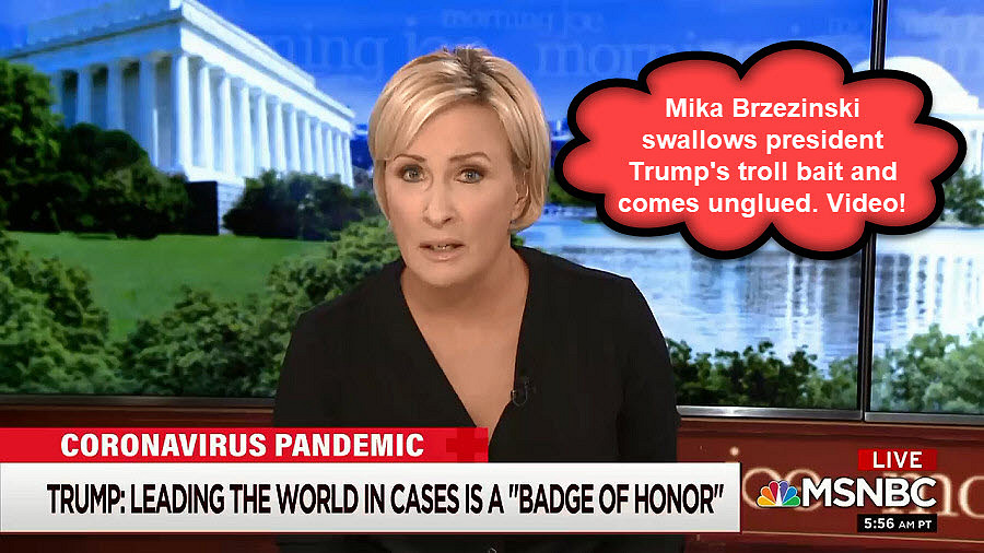 Mika Brzezinski coming unglued over Trump tweeting her husbands interns death years ago 
