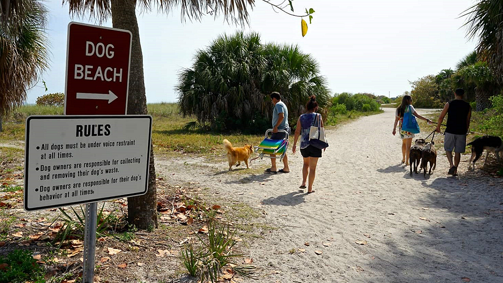 Dog beach on Fort Desoto Park in Pinellas County Florida